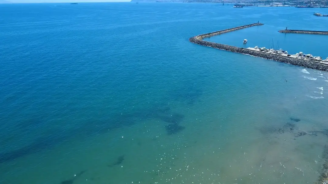 Tekirdağ Camping Area — Tekirdağ — küçük resim 7