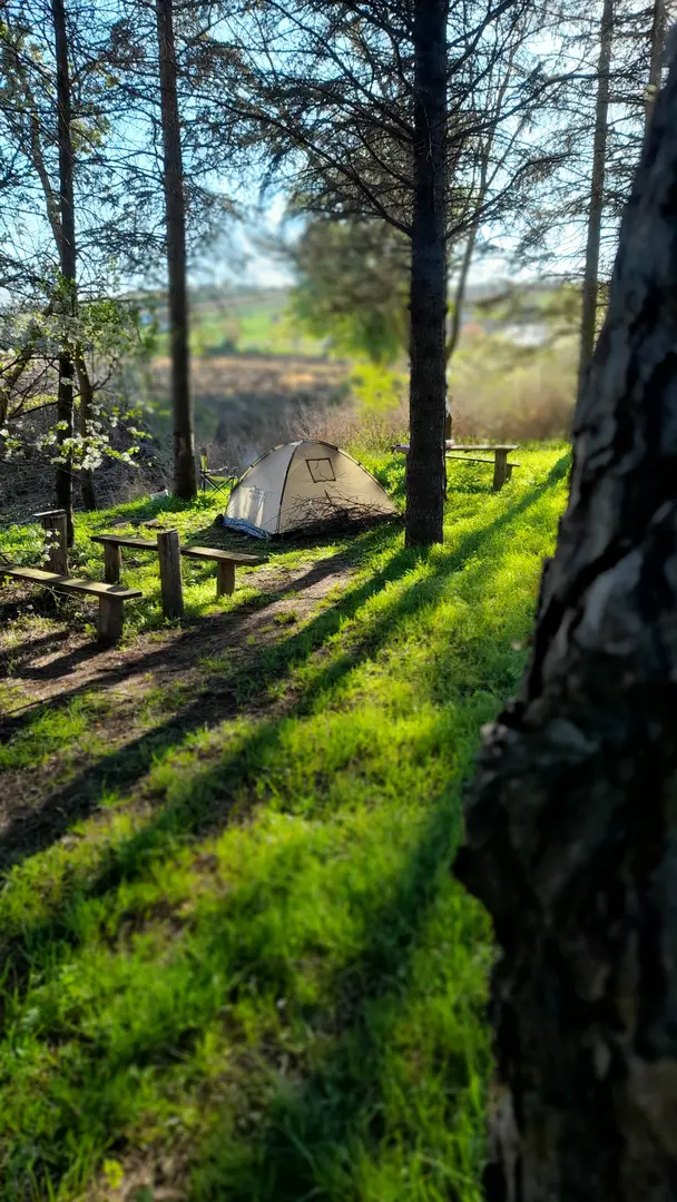 Yenice Casper Camping Area — Tekirdağ — küçük resim 5
