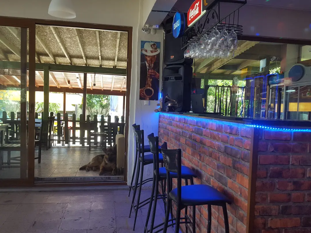 BAĞTUR BUTIK CAMPING KONAKLAMA CAFE BAR KIR DÜNGEN ALANI — Tekirdağ — küçük resim 7
