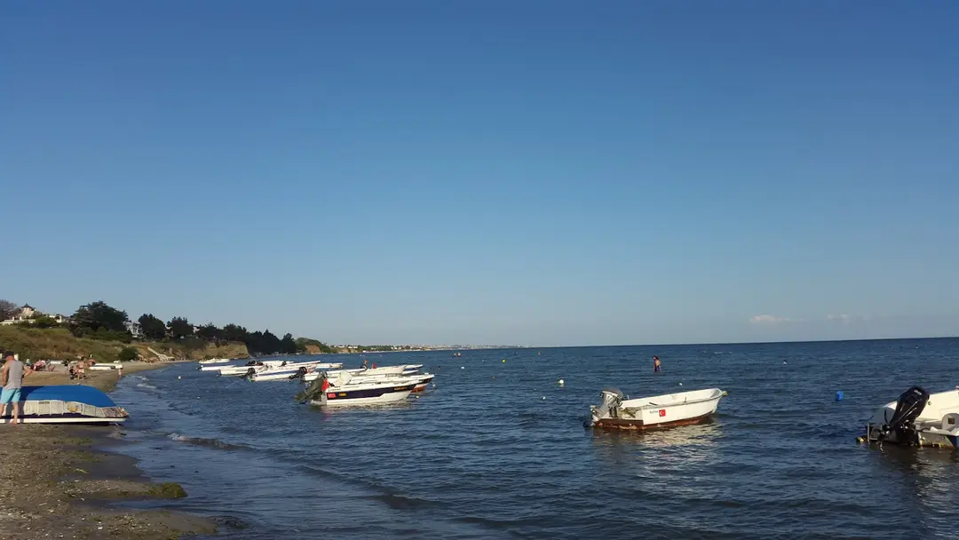Kıral Camping — Tekirdağ — küçük resim 7