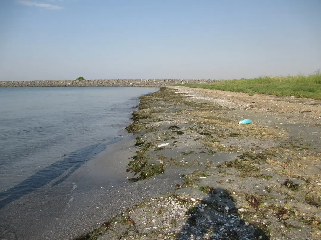 Huzur Camping — Tekirdağ — küçük resim 2