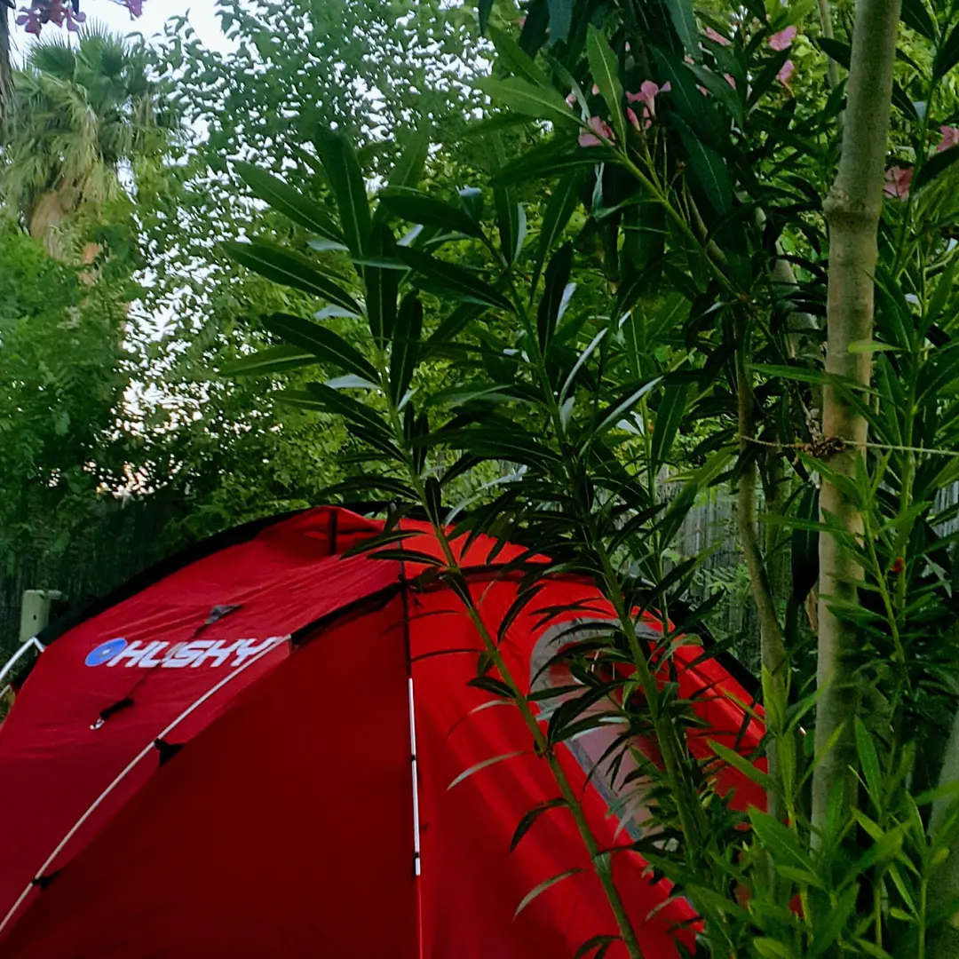 Ekincik Kamping — Muğla — küçük resim 8