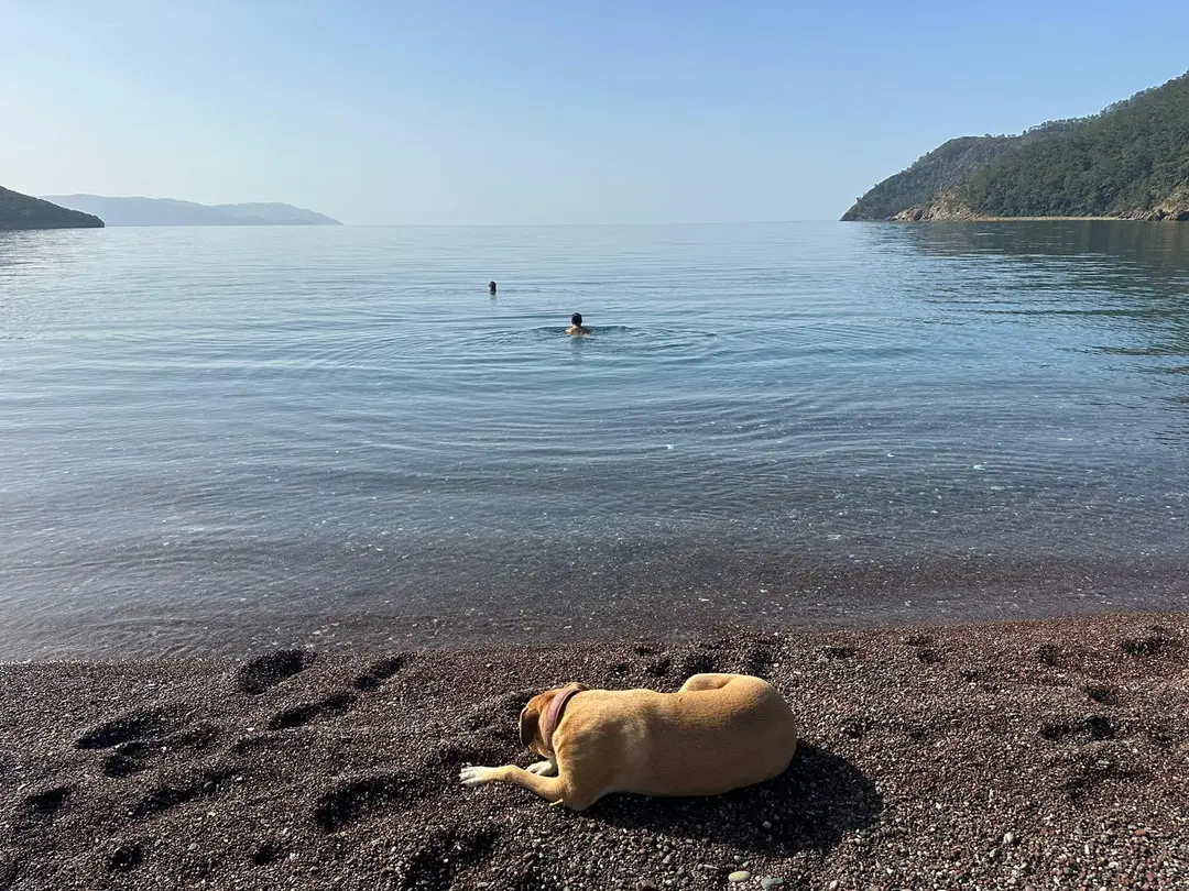 Ekincik Kamping — Muğla — küçük resim 4