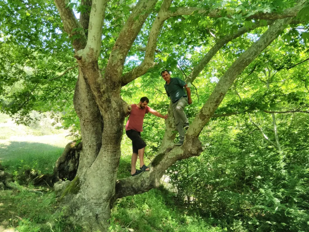 Teski Aile Parkı — Tekirdağ — küçük resim 8