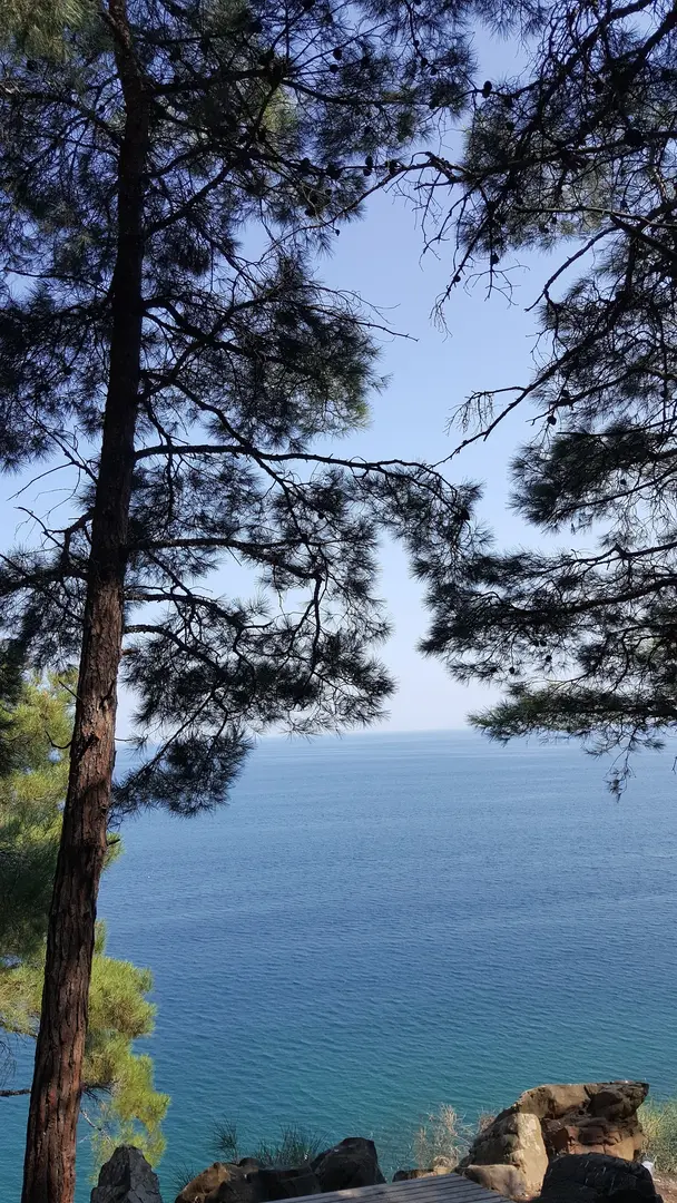 Kumbağ Mesire Yeri — Tekirdağ — küçük resim 6
