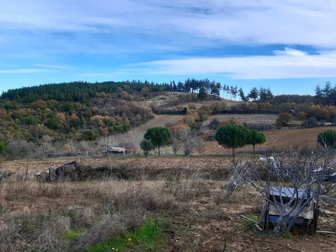 Kumbağ Mesire Yeri — Tekirdağ — küçük resim 5