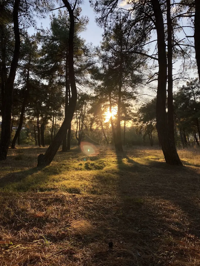 Atatürk Orman Mesire Yeri — Tekirdağ — küçük resim 2