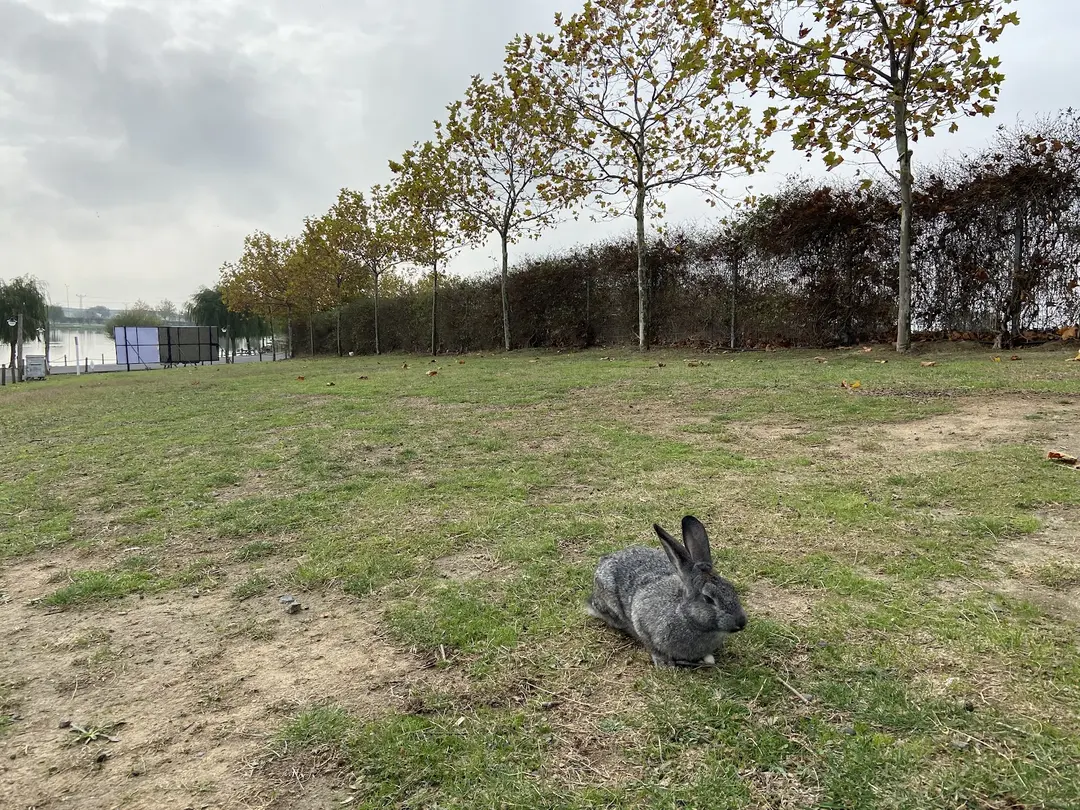 Tekirdağ Metropolitan Municipality Gölbaşı Youth Park — Tekirdağ — küçük resim 4