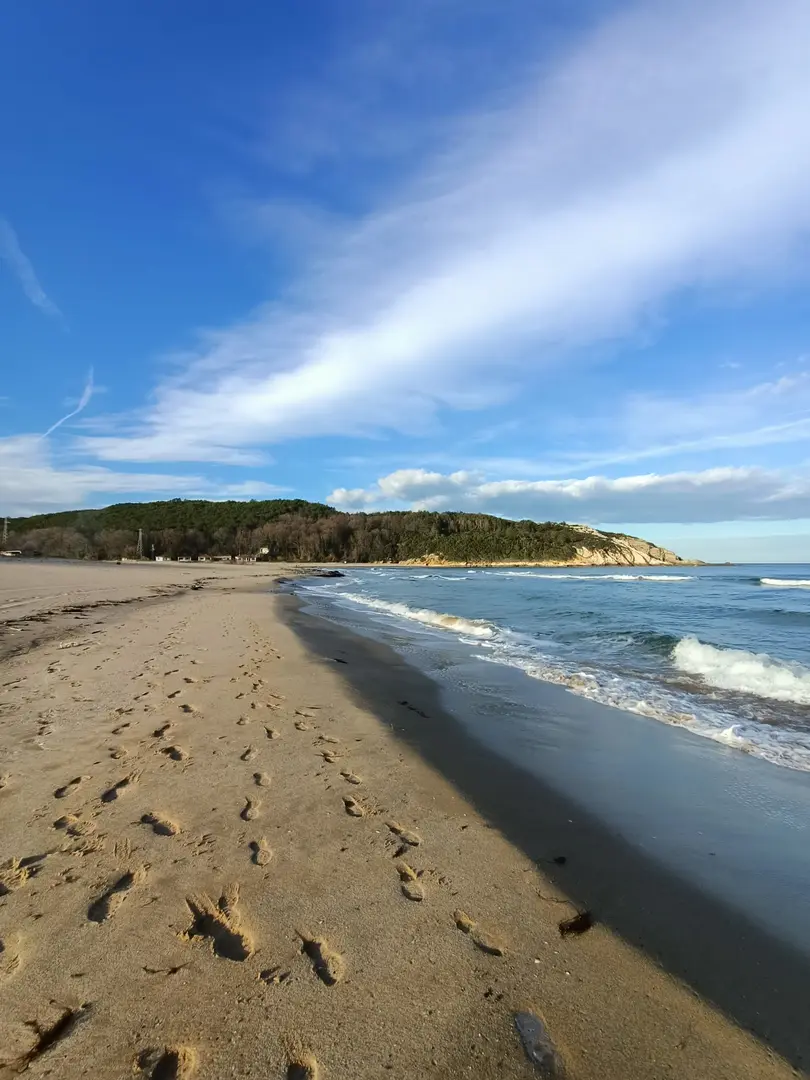 Çamlıköy Tabiat Parkı — Tekirdağ — küçük resim 8