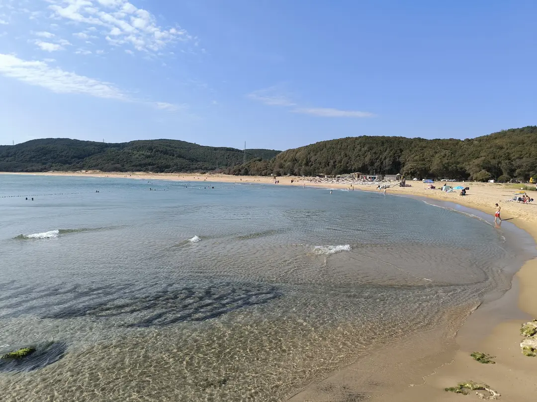 Çamlıköy Tabiat Parkı — Tekirdağ — küçük resim 3