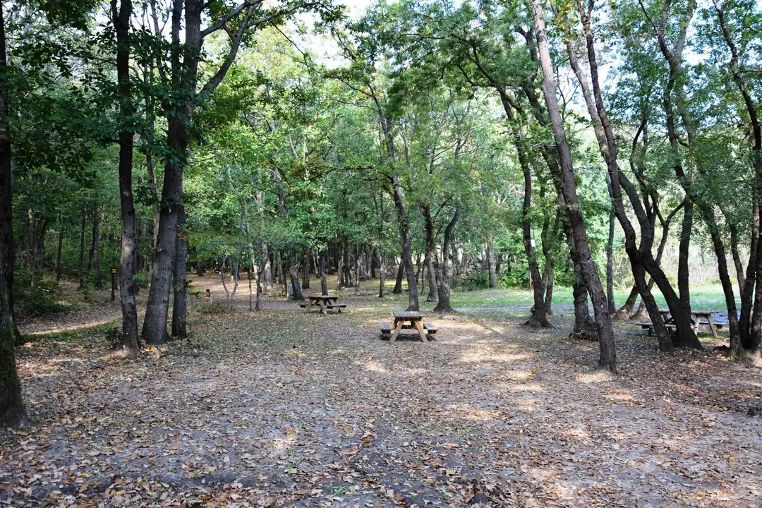 Çamlıköy Tabiat Parkı — Tekirdağ — küçük resim 6