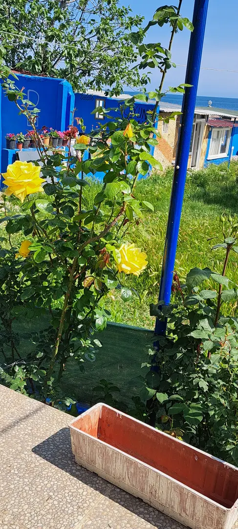 Dallas caffè e cabana sulla spiaggia — Tekirdağ — küçük resim 10