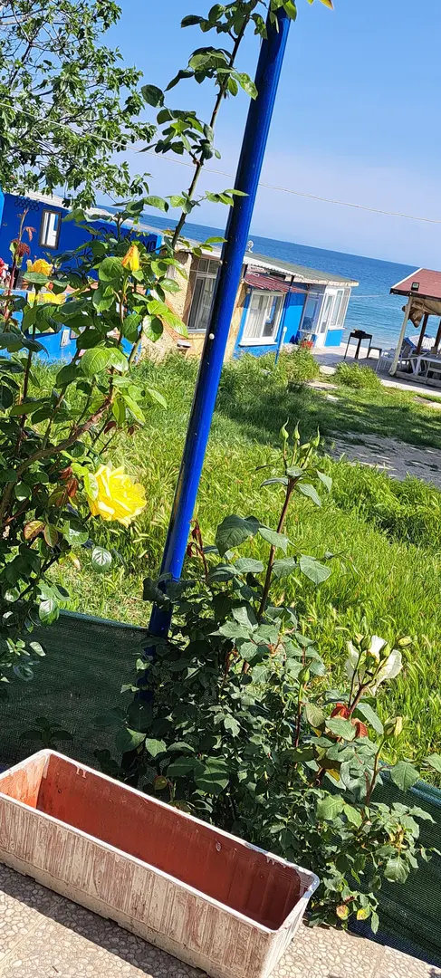 Dallas caffè e cabana sulla spiaggia — Tekirdağ — küçük resim 4