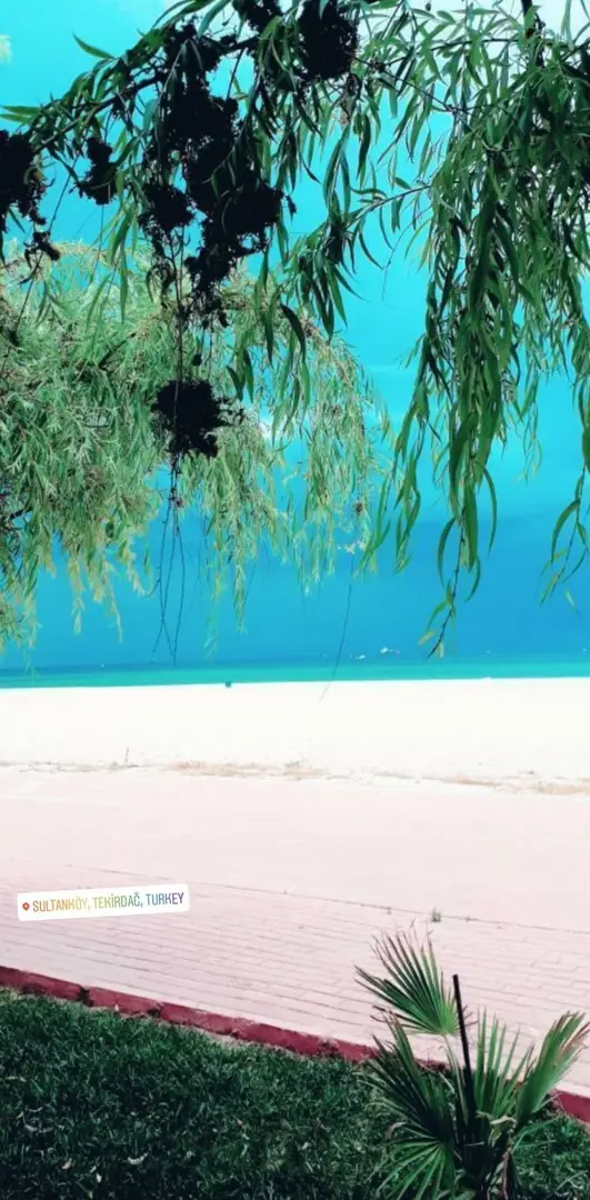 Kumsal Çay Bagh - Camping — Tekirdağ — küçük resim 7
