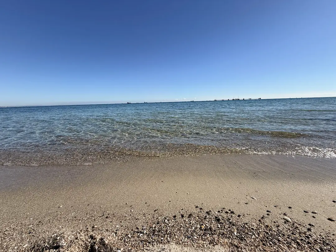 Kumsal Çay Bagh - Camping — Tekirdağ — küçük resim 5