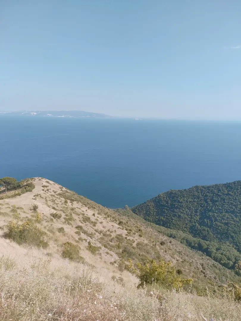 Lavender Symphony — Tekirdağ — küçük resim 3