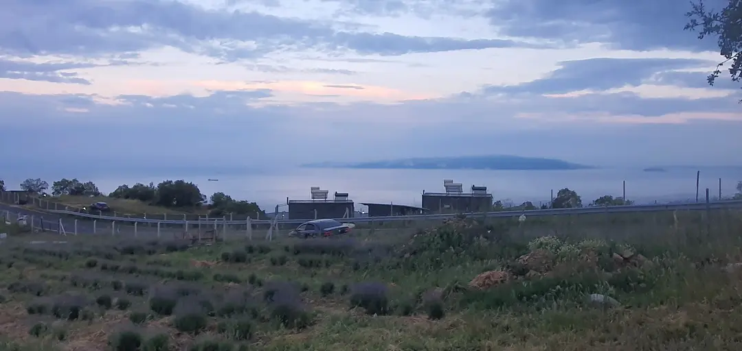 Lavender Symphony — Tekirdağ — küçük resim 2