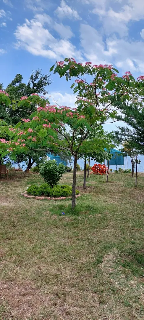 Sakl Koy Camping — Tekirdağ — küçük resim 6