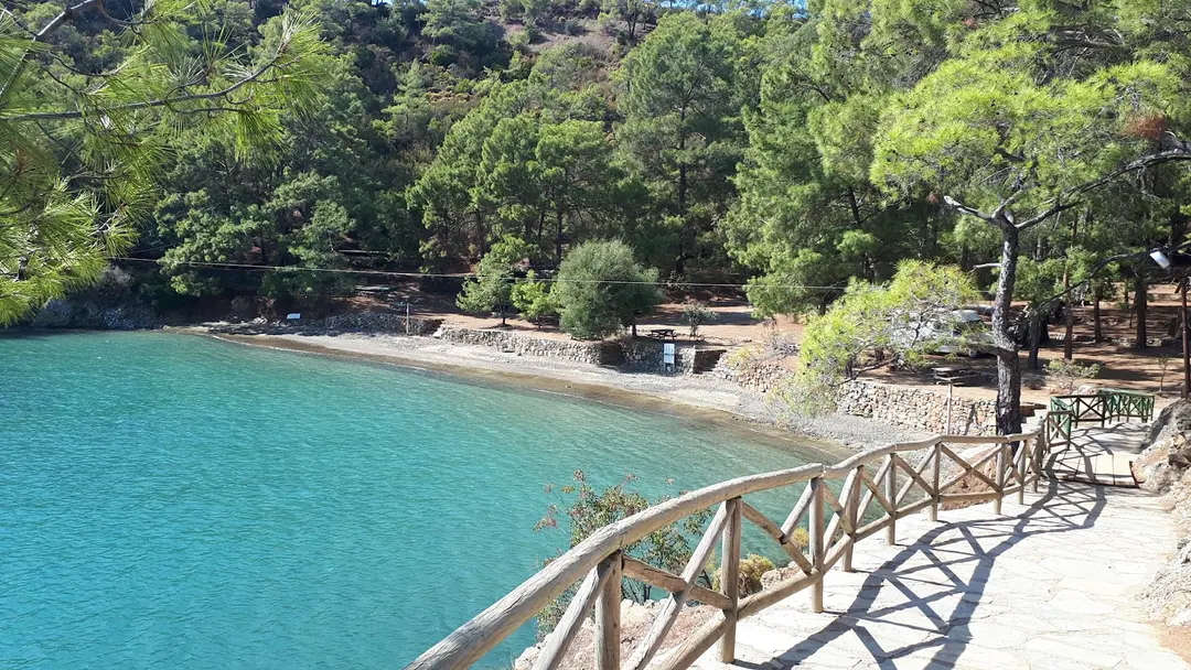 Katrancı Orman Kampı — Muğla — küçük resim 3