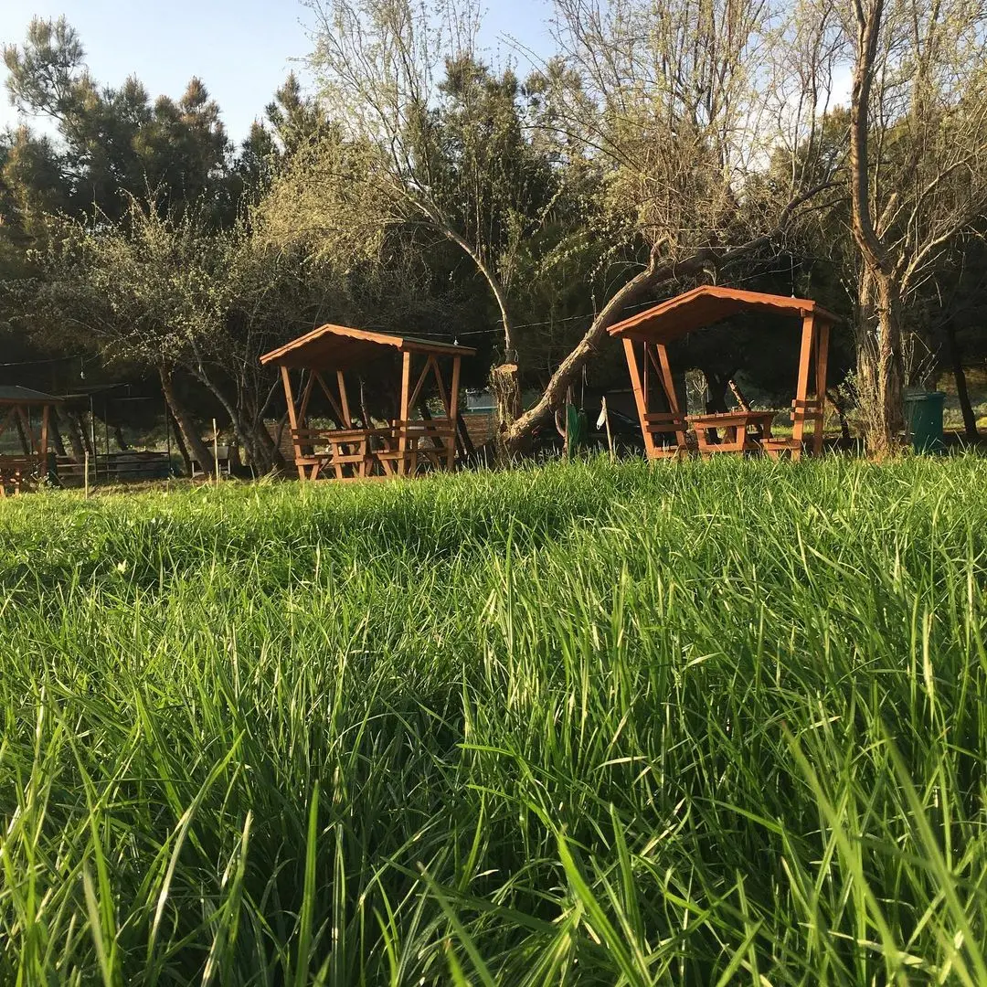 Mürefte Camping — Tekirdağ — küçük resim 2