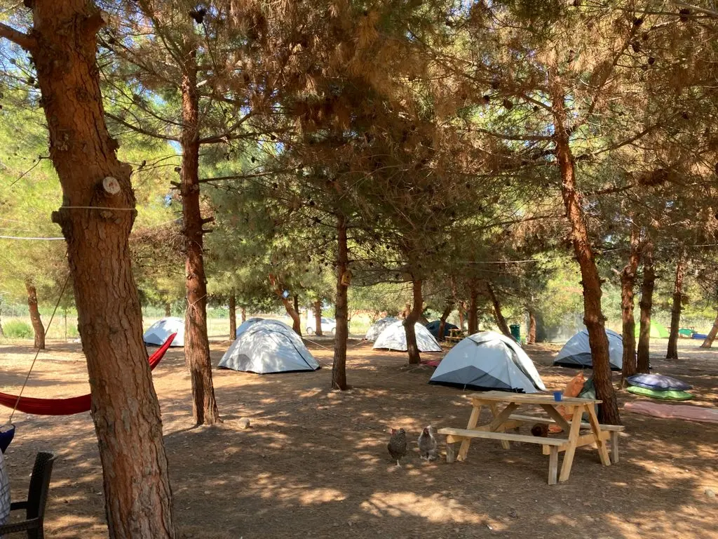 Mürefte Camping — Tekirdağ — küçük resim 8