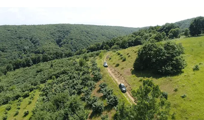 Kervansaray & Doğal Kamping Binicilik — Kocaeli — küçük resim 2