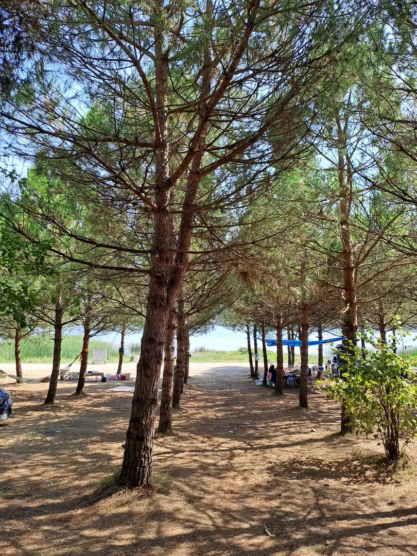 Tahtalı Göllet Camping Area — Kocaeli — küçük resim 7