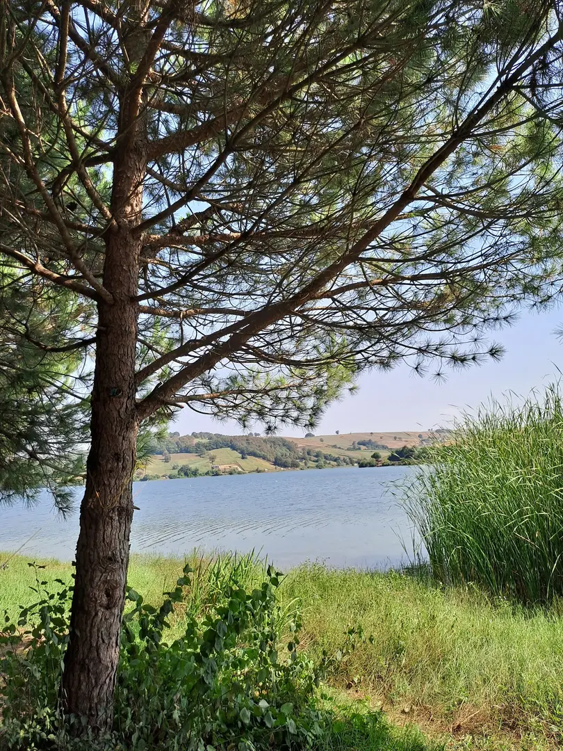 Tahtalı Göllet Camping Area — Kocaeli — küçük resim 6