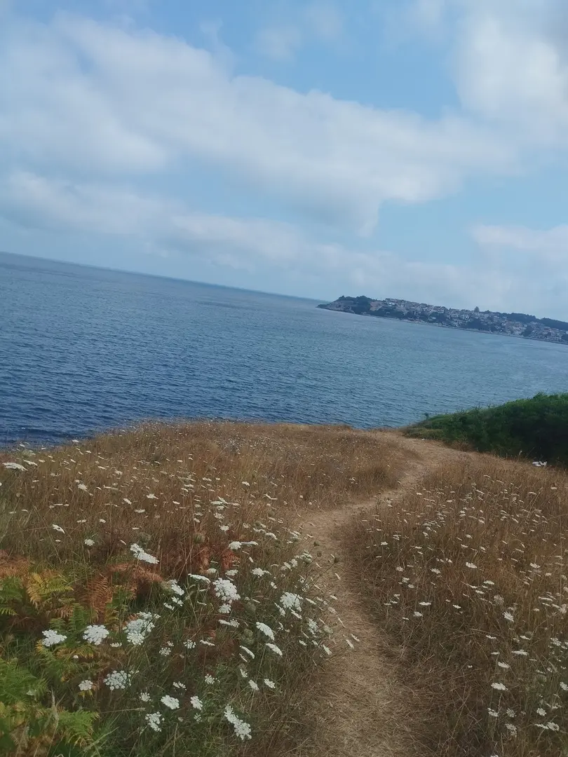 Ömerazı Koyu Camping Area — Kocaeli — küçük resim 6