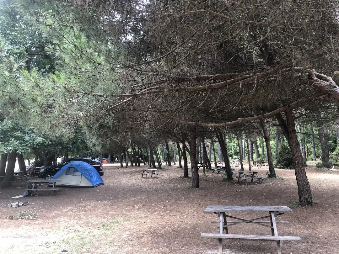 Ömerazı Koyu Camping Area — Kocaeli — küçük resim 3
