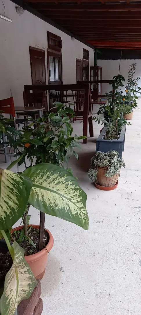 İpek Yolu Karavan Park — Kocaeli — küçük resim 10