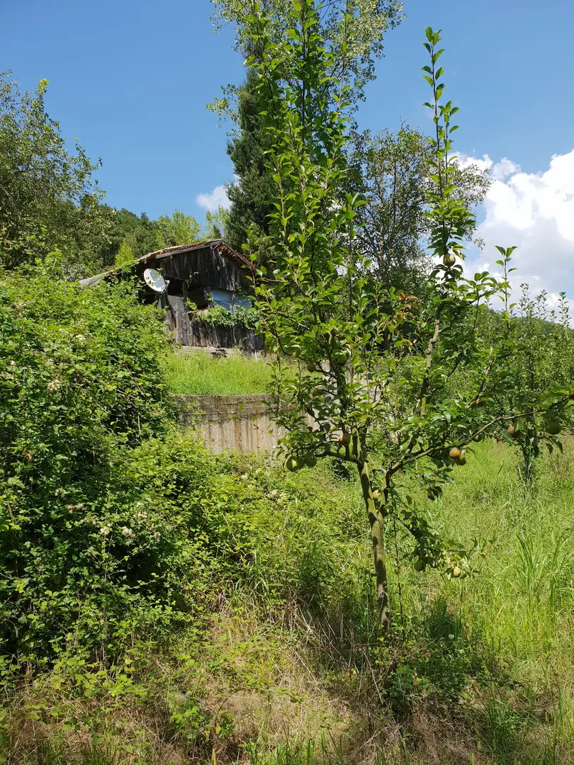 İpek Yolu Karavan Park — Kocaeli — küçük resim 9