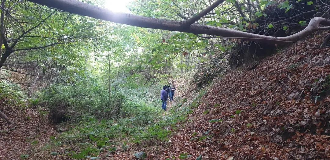 İpek Yolu Karavan Park — Kocaeli — küçük resim 3