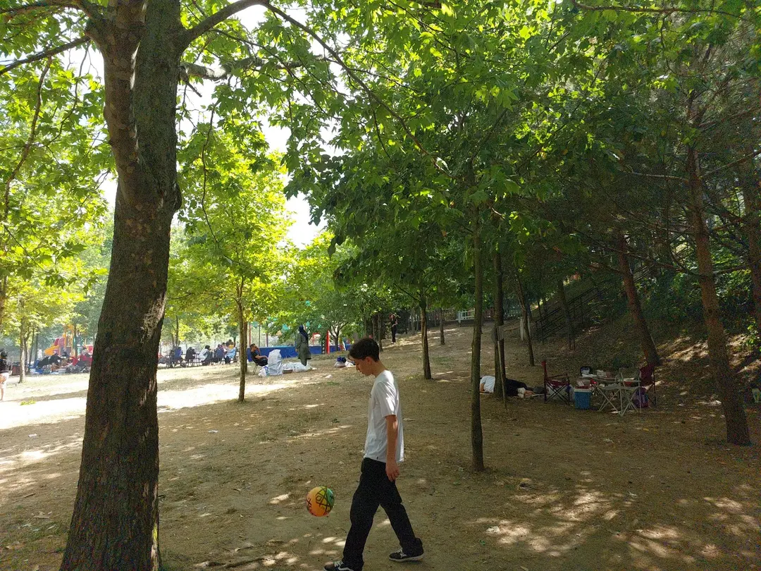 Area di Campeggio e Picnic di Başiskele — Kocaeli — küçük resim 3