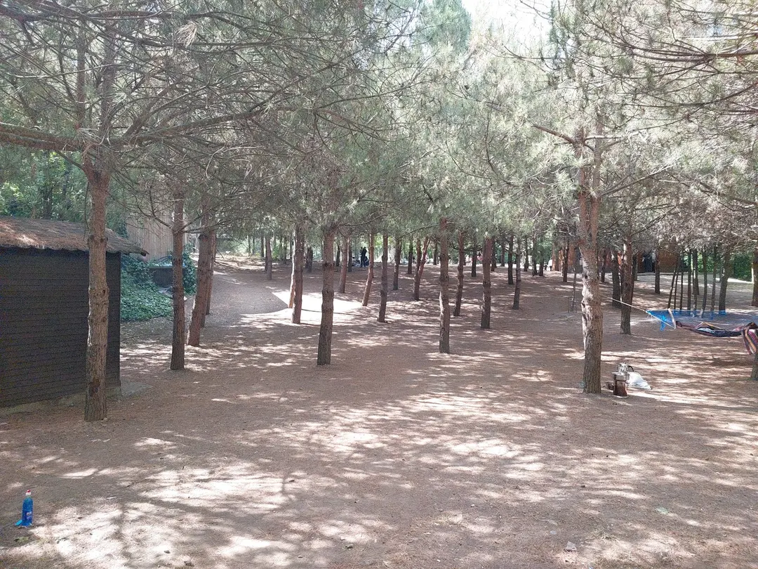 Area di Campeggio e Picnic di Başiskele — Kocaeli — küçük resim 2