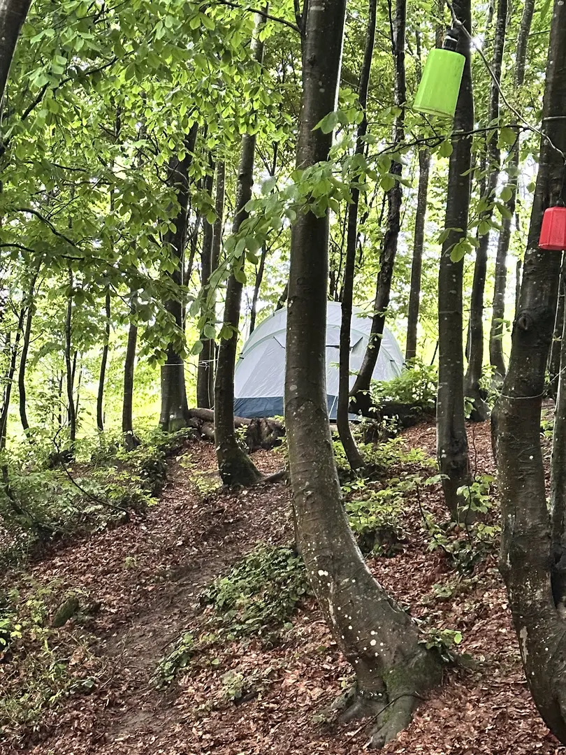 Ayvaz Camping, Kamp — Kocaeli — küçük resim 5
