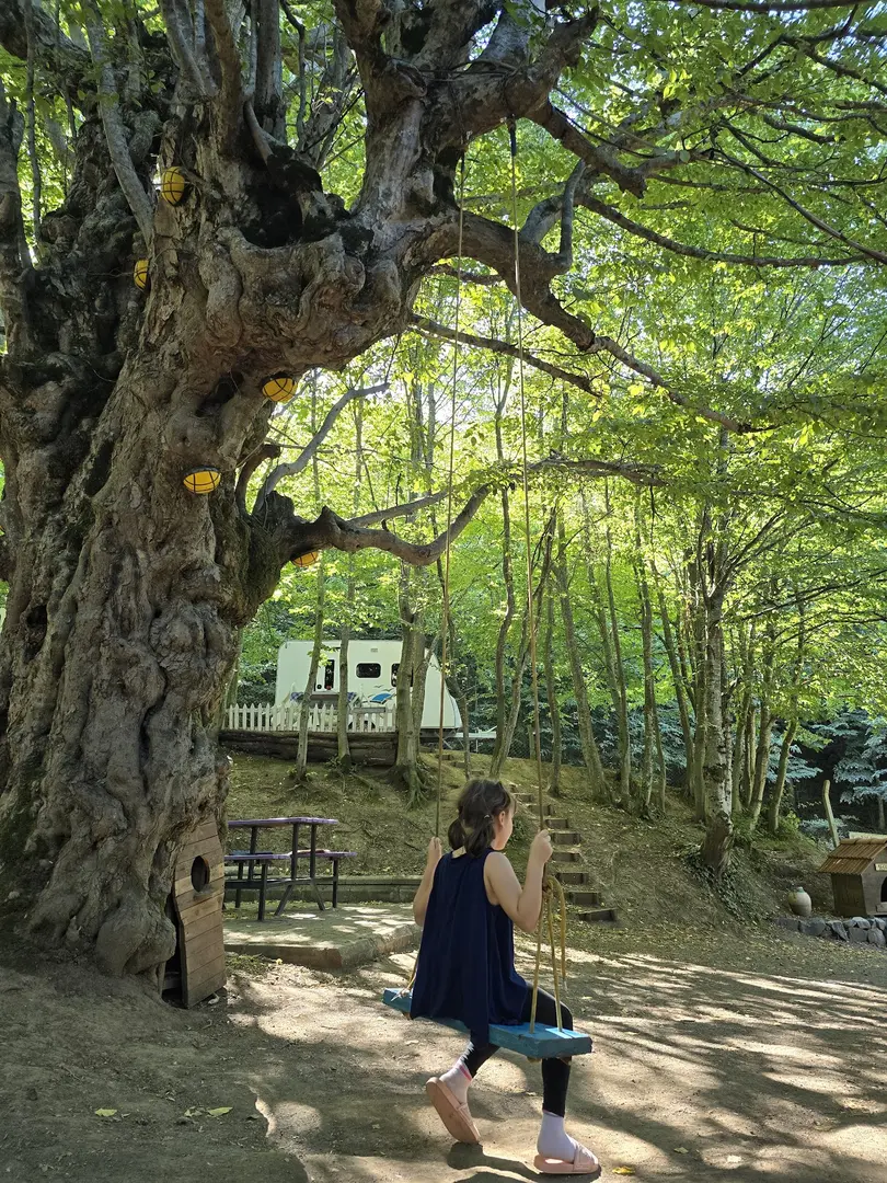 Ayvaz Camping, Kamp — Kocaeli — küçük resim 7