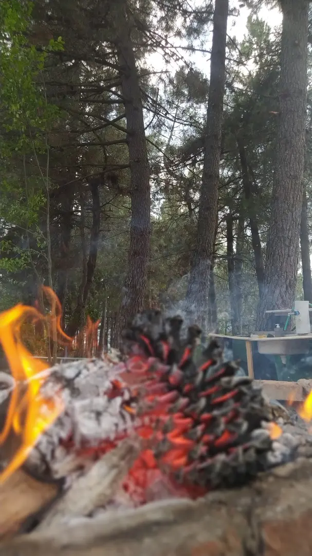Kozalak camp — Kocaeli — küçük resim 2