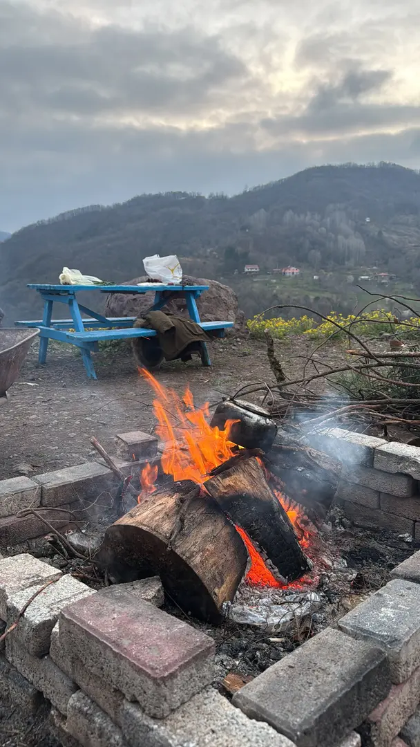 Kozalak camp