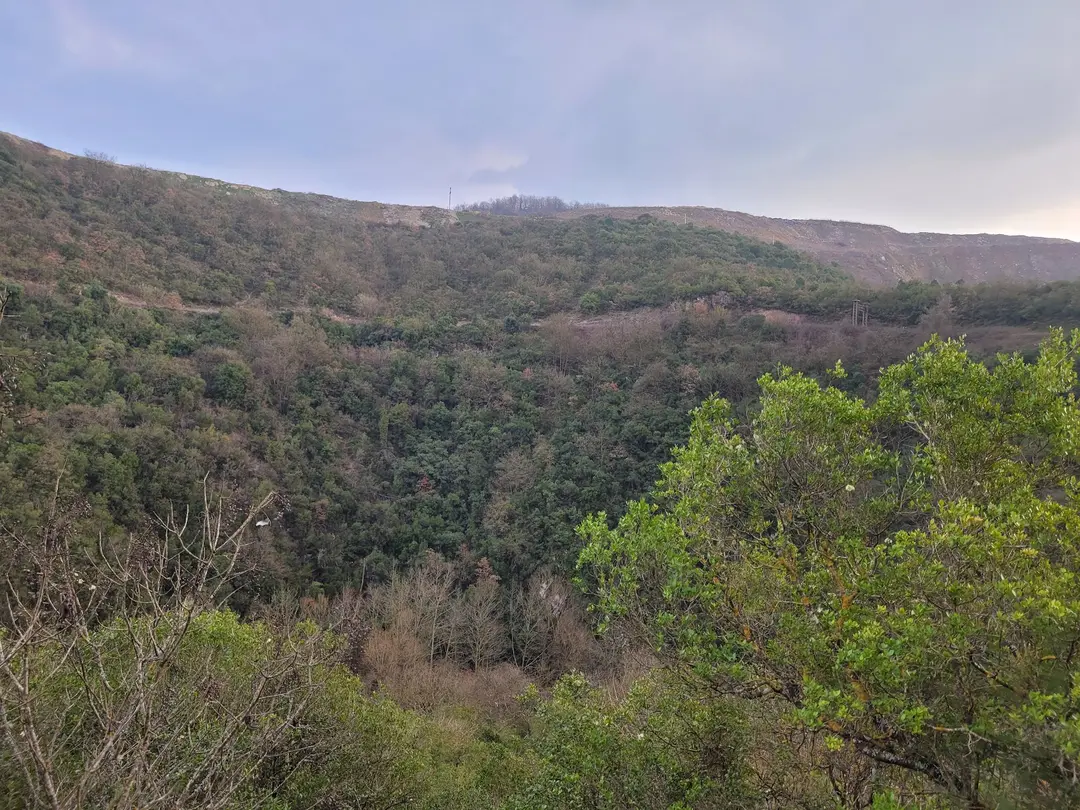 Paşasuyu Mesire Alanı — Kocaeli — küçük resim 3