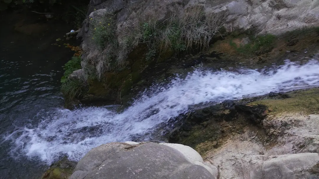 Paşasuyu Mesire Alanı — Kocaeli — küçük resim 8
