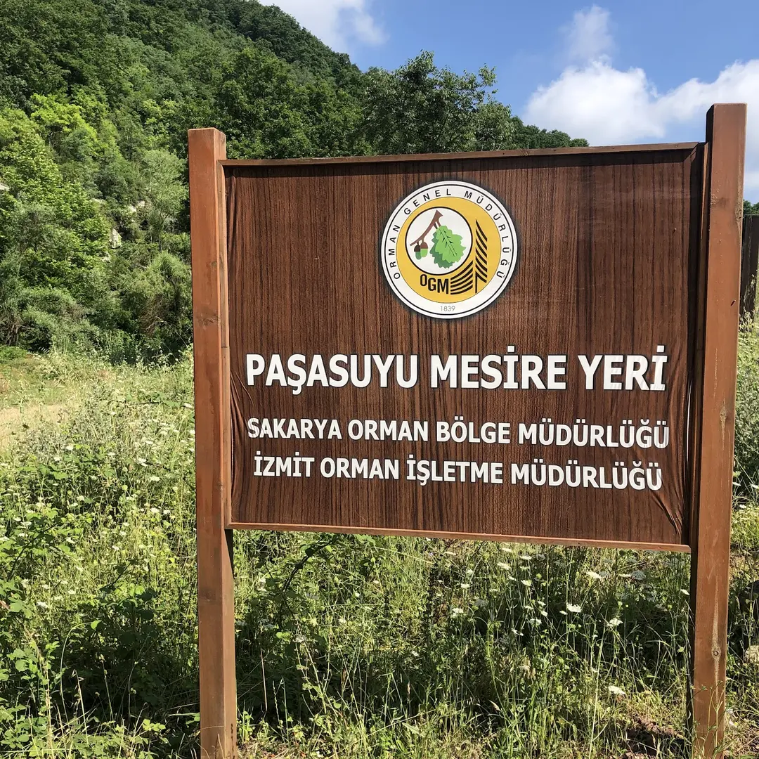 Paşasuyu Mesire Alanı — Kocaeli — küçük resim 10