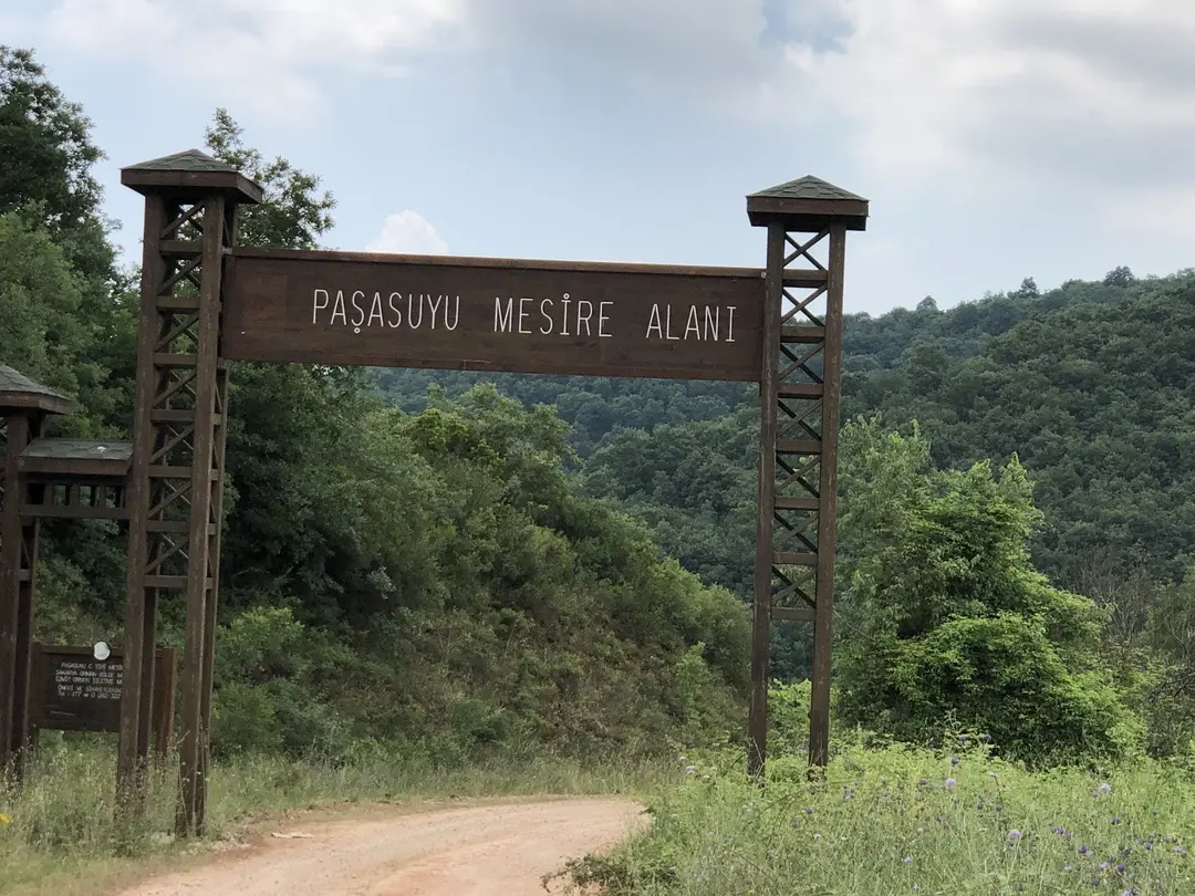 Paşasuyu Mesire Alanı — Kocaeli — fotoğraf 1