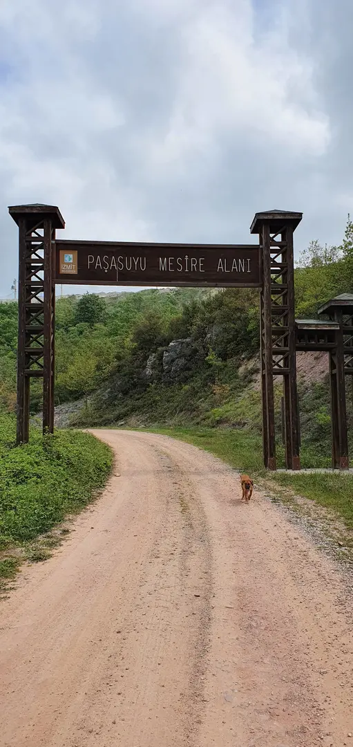Paşasuyu Mesire Alanı — Kocaeli — küçük resim 6