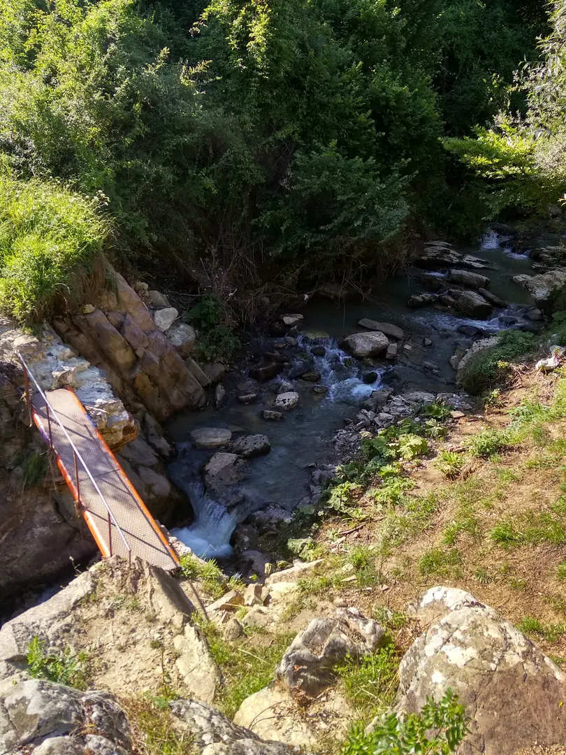 Paşasuyu Mesire Alanı — Kocaeli — küçük resim 2