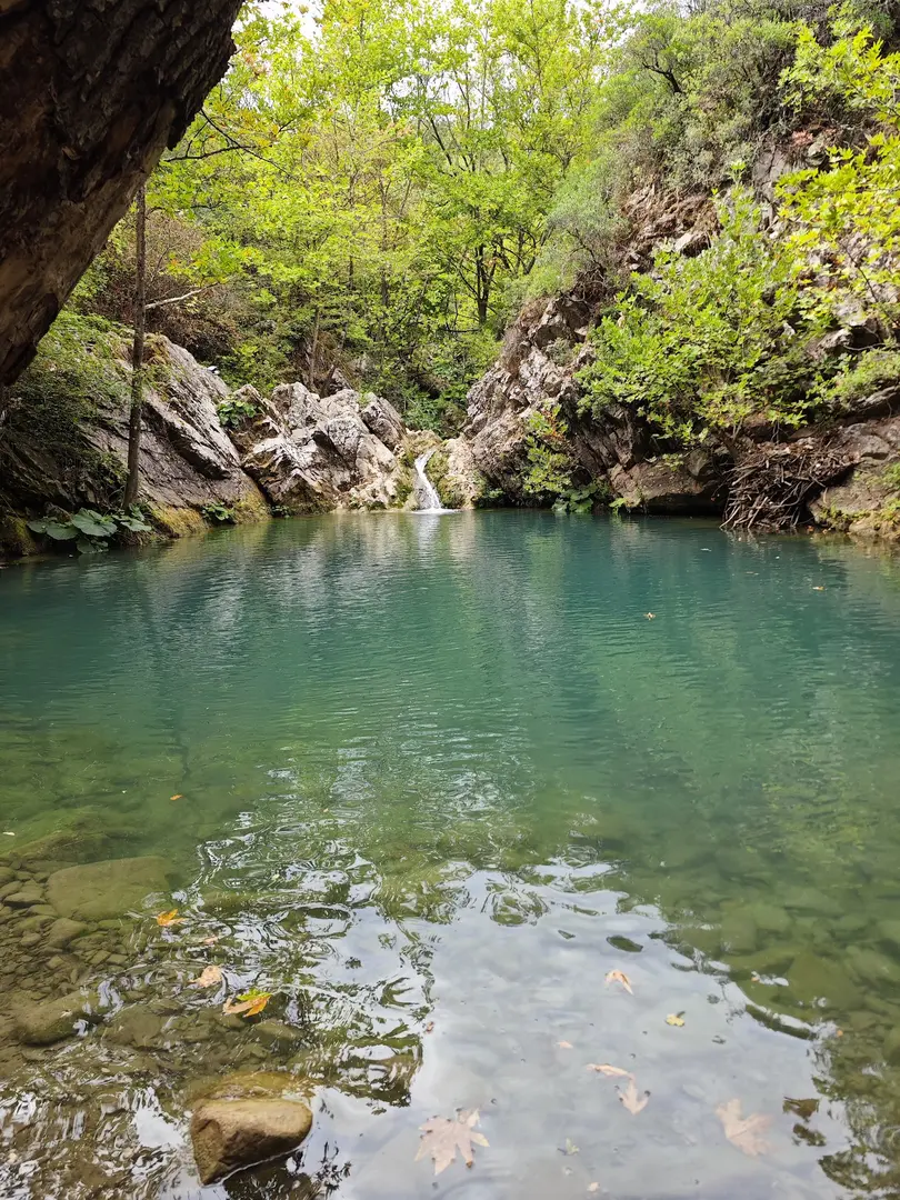Paşasuyu Mesire Alanı — Kocaeli — küçük resim 7