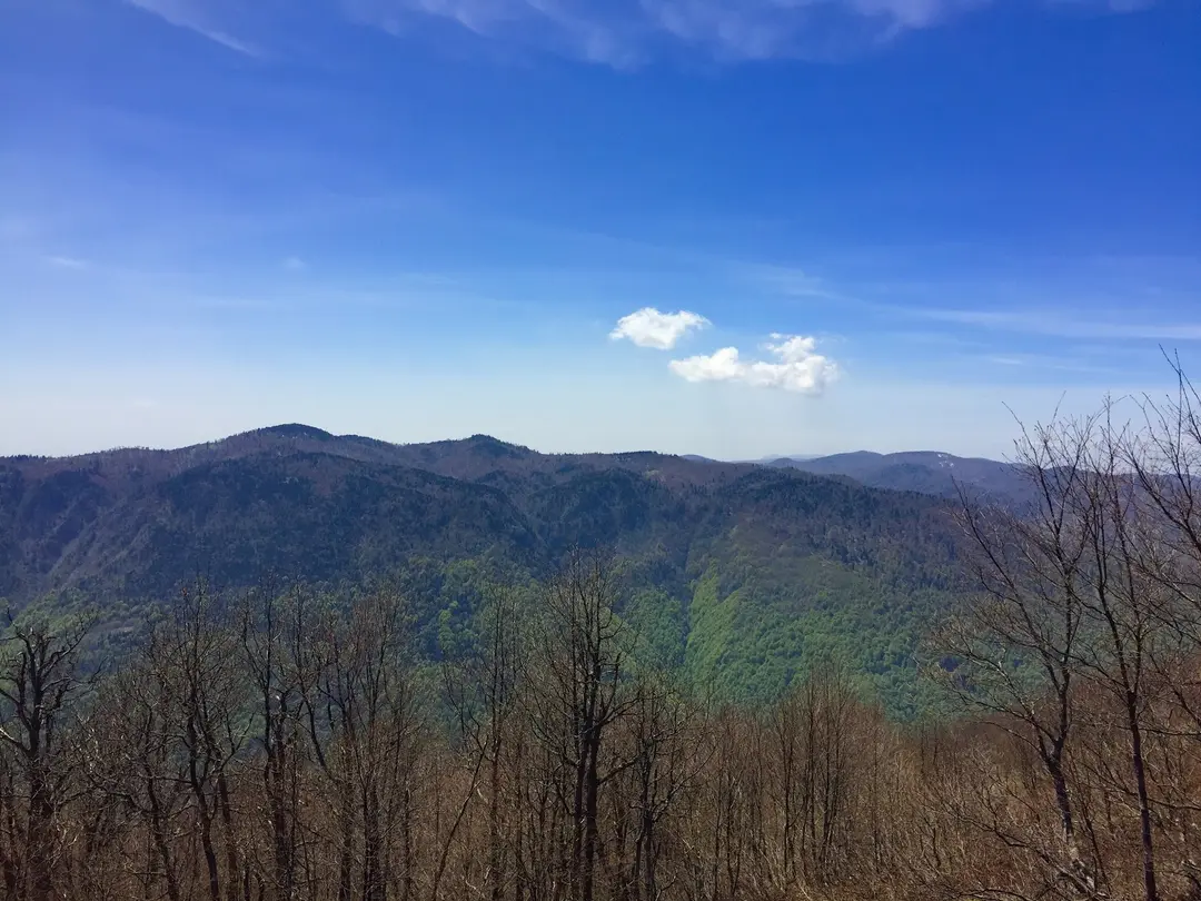 Kuzuyayla Tabiat Parkı — Kocaeli — küçük resim 9