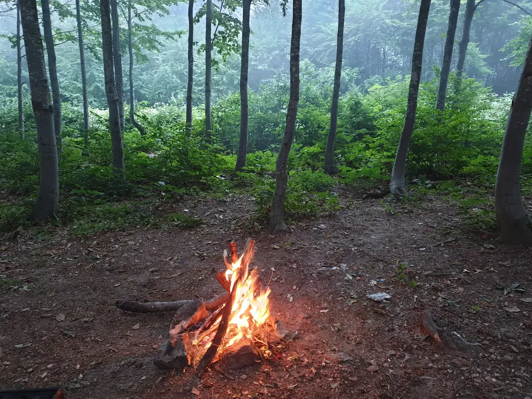 Kuzuyayla Tabiat Parkı — Kocaeli — küçük resim 7