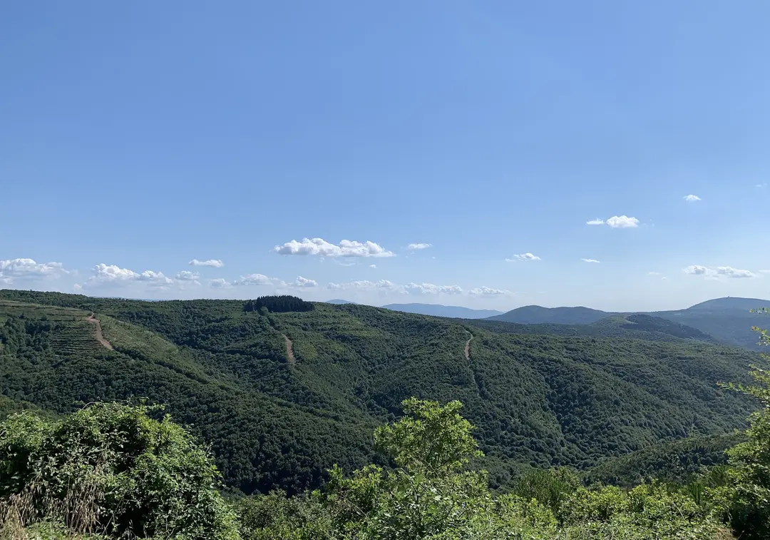 Kocaeli Kent Ormanı — Kocaeli — küçük resim 3