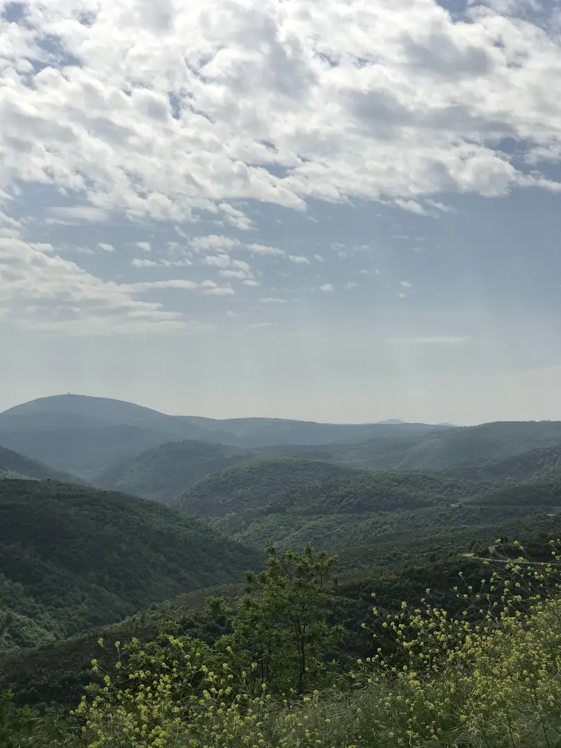 Kocaeli Kent Ormanı — Kocaeli — küçük resim 7
